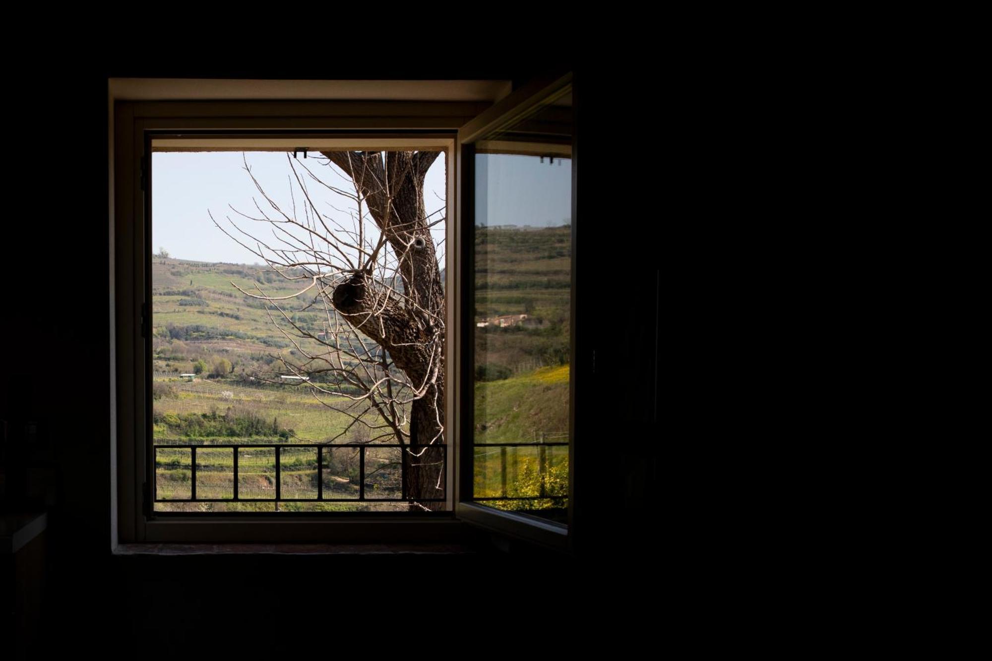 Corte Dei Soavi Suites - Apartments Soave  Exteriér fotografie